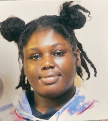 Ariel C - SNHU Babysitter