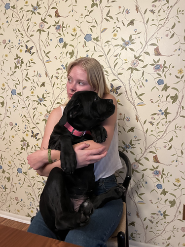 Luka L - Lawrence Babysitter