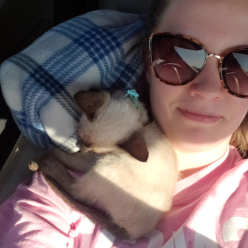 Megan B - SMSU Babysitter