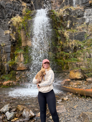 Codi A - WGU Babysitter