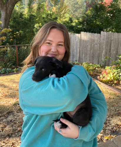 Summer Z - SOU Babysitter