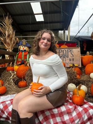 Ashley M - South Alabama Babysitter